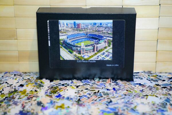 CUSTOM BALTIMORE RAVENS STADIUM PUZZLE (520 PIECES)